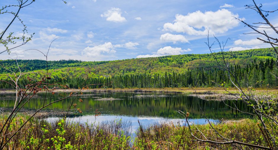 Vue sur l'eau