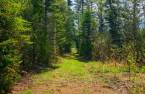 Terre/Terrain