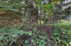 Land/Lot