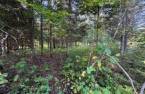 Land/Lot