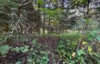Land/Lot