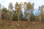 Land/Lot