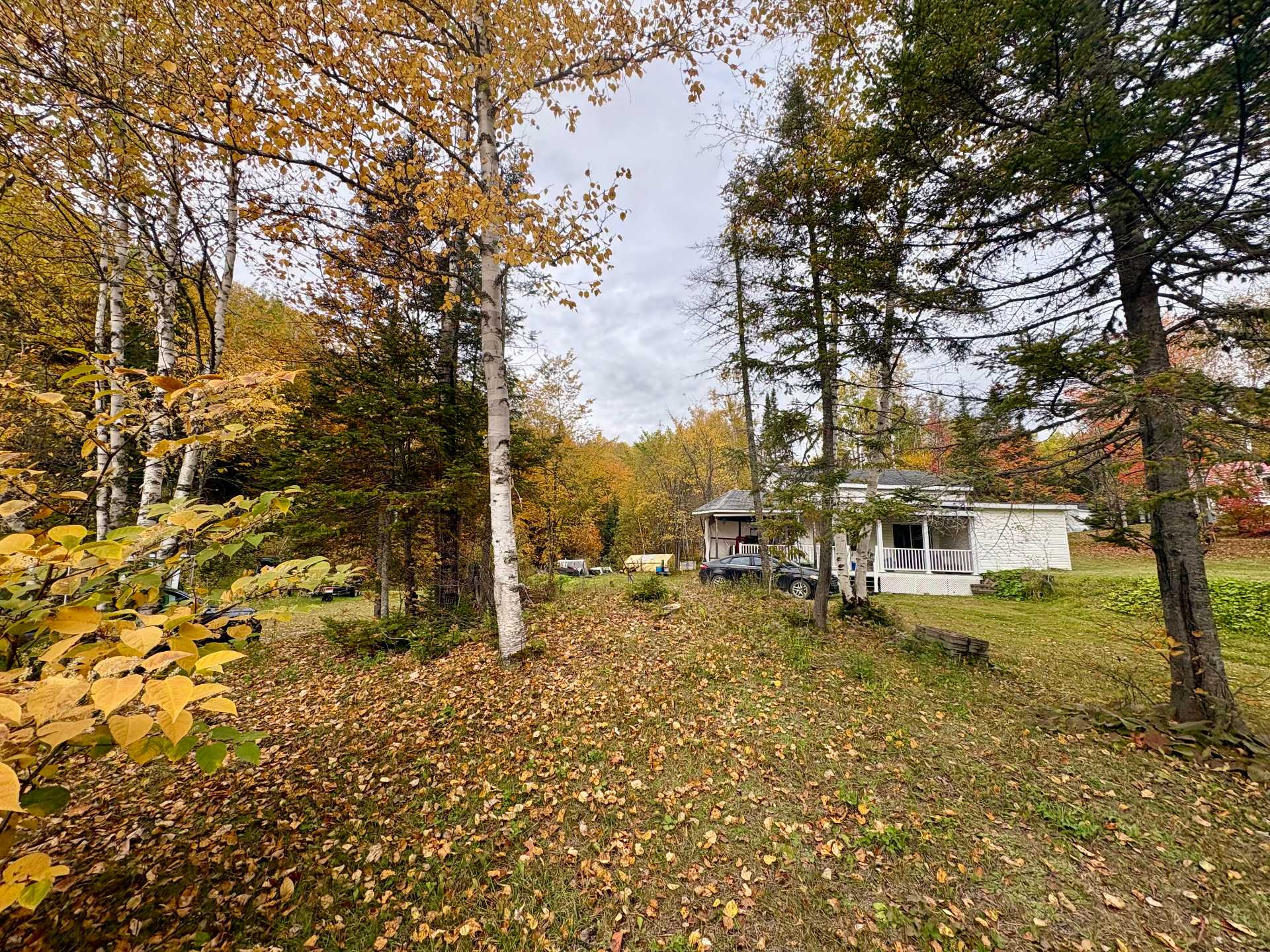2901 48e Chemin — photo 3
