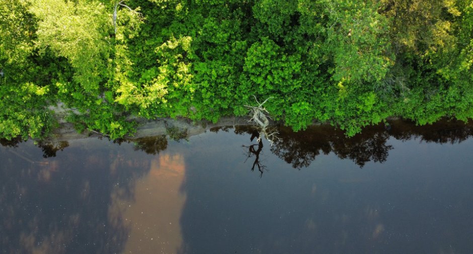 Bord de l'eau
