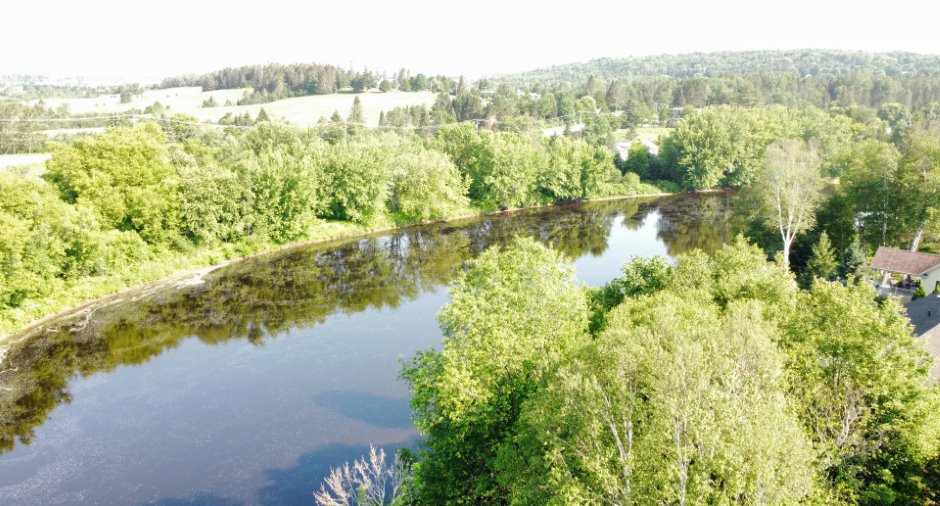 Vue sur l'eau