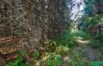 Terre/Terrain