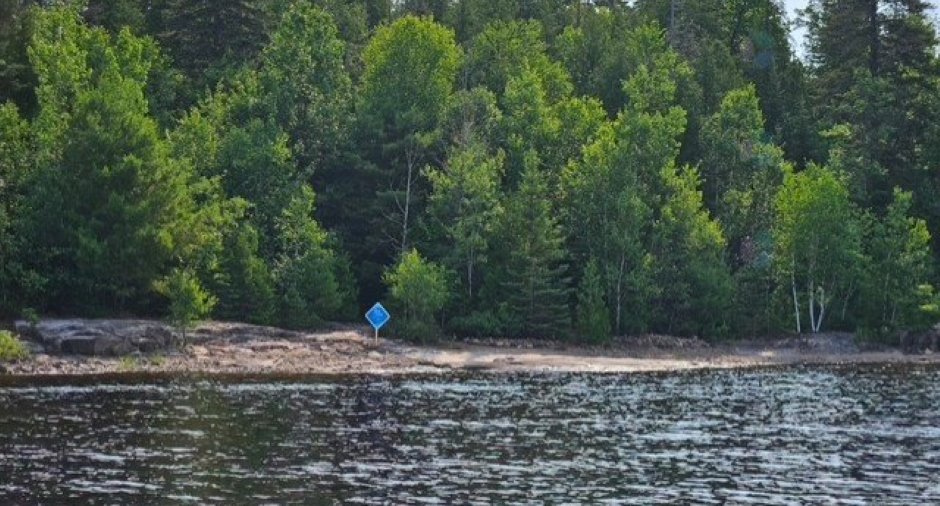 Bord de l'eau