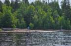 Bord de l'eau