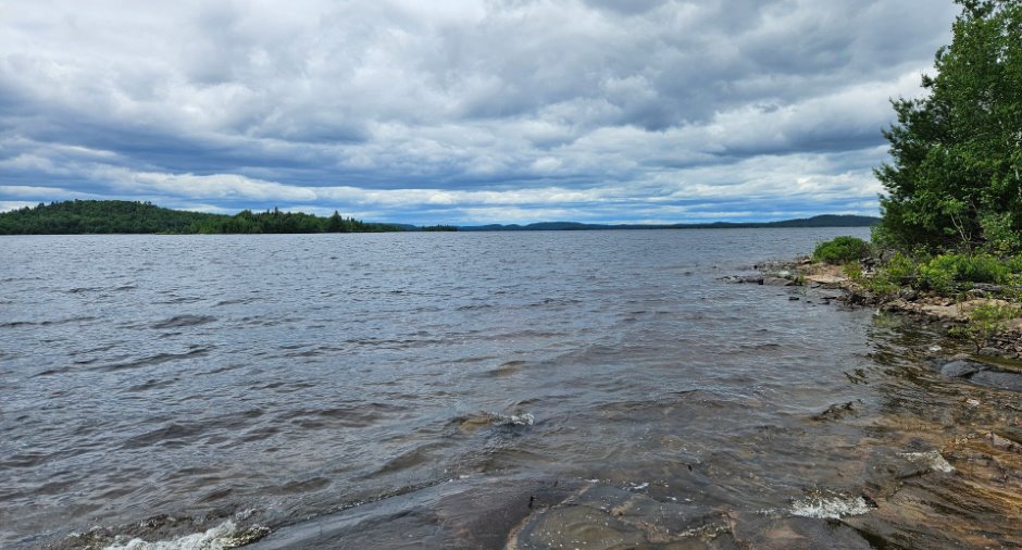 Bord de l'eau