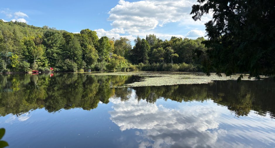 Bord de l'eau
