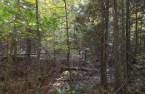 Terre/Terrain
