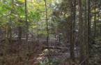 Terre/Terrain