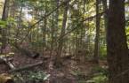 Terre/Terrain