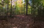 Terre/Terrain