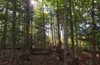 Terre/Terrain