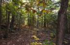 Terre/Terrain
