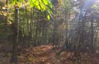Terre/Terrain