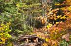Terre/Terrain