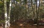 Terre/Terrain