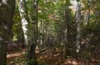 Terre/Terrain