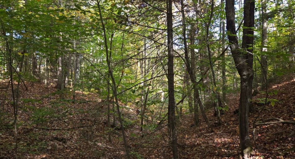Terre/Terrain