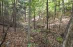 Terre/Terrain