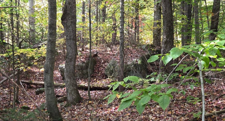 Terre/Terrain