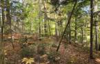 Terre/Terrain