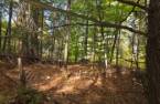 Terre/Terrain