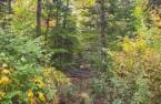 Terre/Terrain