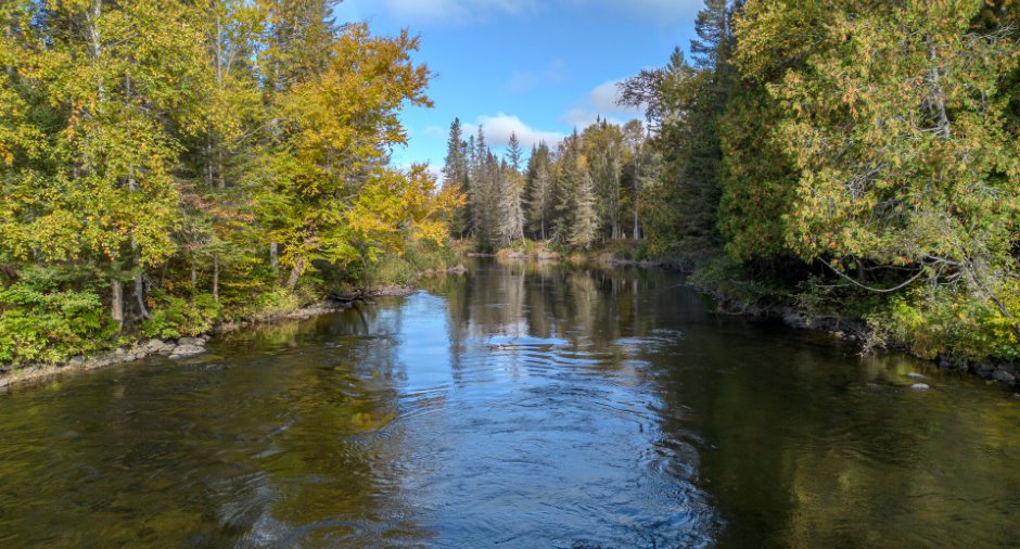 Bord de l'eau