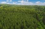 Terre à bois