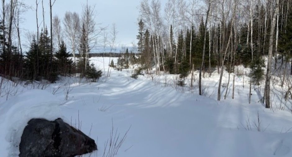Terre/Terrain