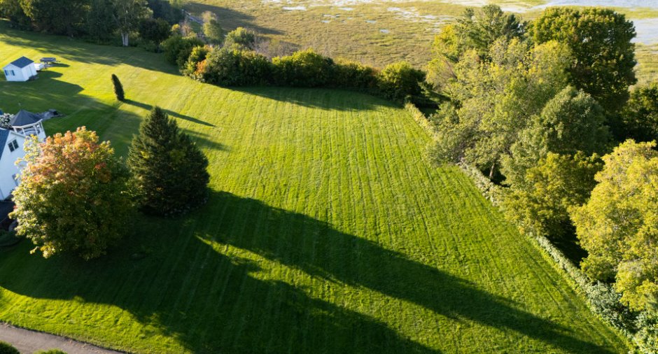 Vue