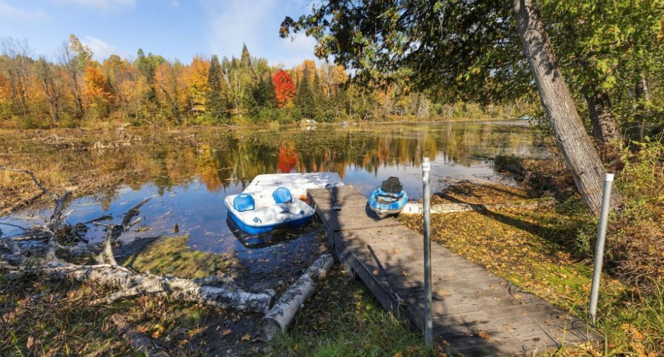 Bord de l'eau