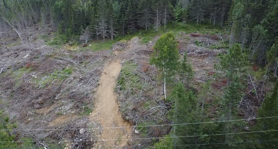 Terre/Terrain