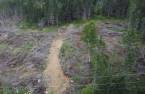Terre/Terrain