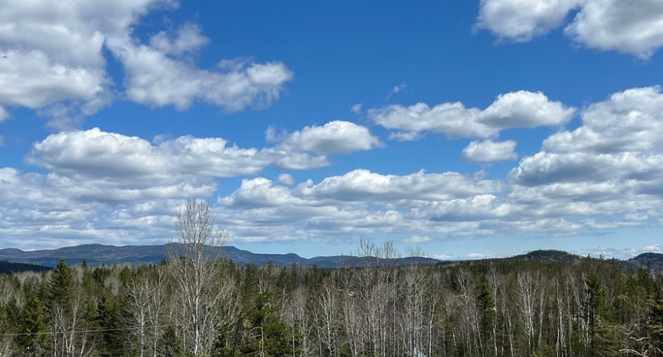 Vue