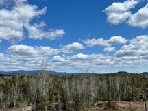 Terrain à vendre à Saint-Aimé-des-Lacs — Chemin du Pied-des-Monts (photo 2)