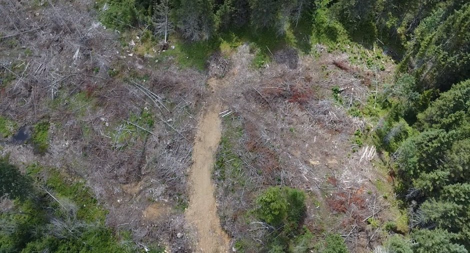 Terre/Terrain