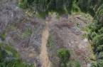 Terre/Terrain