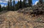 Terre/Terrain