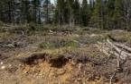 Terre/Terrain