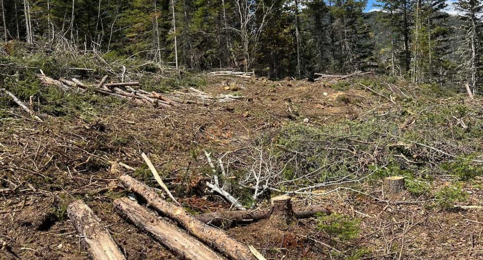 Terre/Terrain