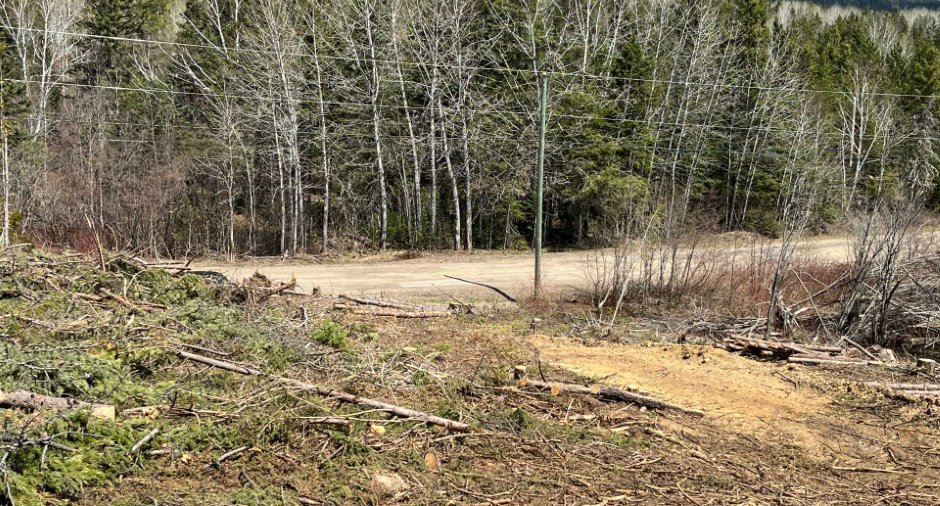 Terre/Terrain