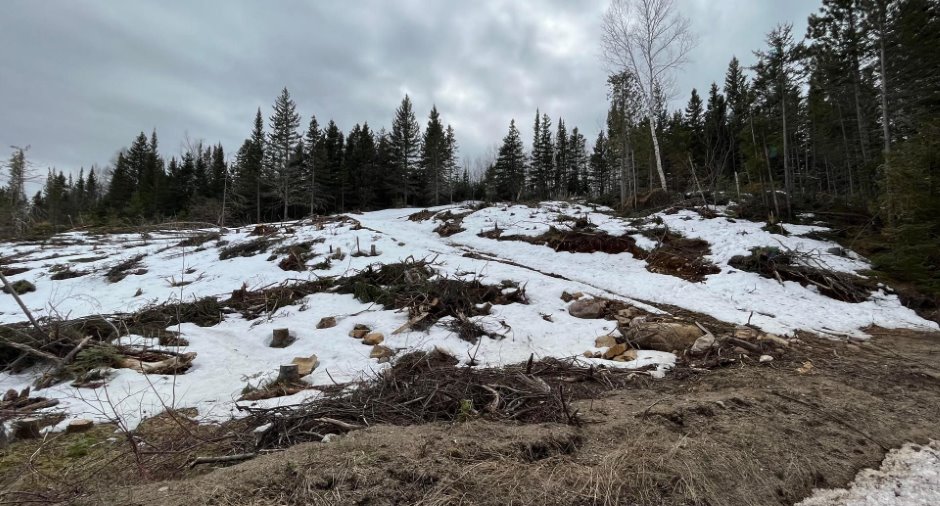 Terre/Terrain