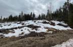 Terre/Terrain