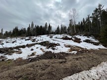 Terrain à vendre à Saint-Aimé-des-Lacs — Chemin du Pied-des-Monts (photo 9)