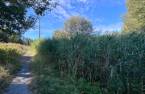 Terre/Terrain
