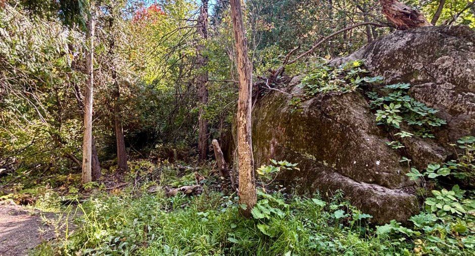 Terre/Terrain